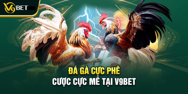 Đá gà online V9BET uy tín chất lượng